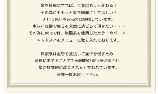 髪を綺麗にすれば、世界はもっと変わる！その為にももっと髪を綺麗にしてほしい！という思いをnoieでは提唱しています。キレイな髪で毎日を素敵に過ごして頂きたい・・・その為にnoieでは、炭酸泉を使用したカラーやパーマ、ヘッドスパをメニューに取り入れております。炭酸泉は血管を拡張して血行を促すため、頭皮にあてることで毛母細胞の血行が促進され、髪が根本的に改善されると言われています。是非一度お試し下さい。